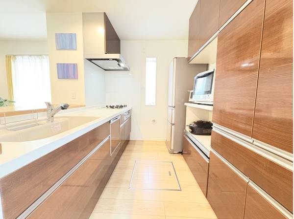 食器洗い乾燥機、浄水器付です。