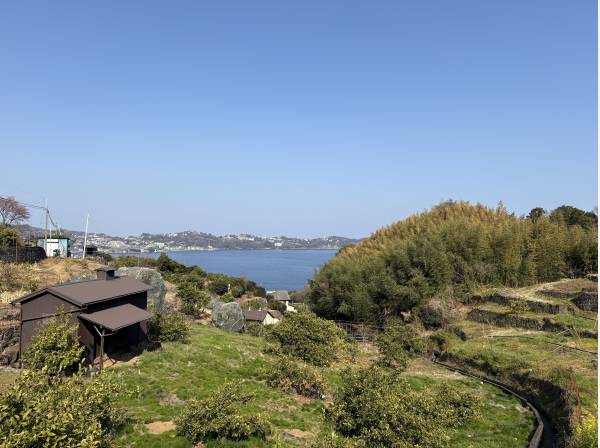 敷地裏には海を眺めながらミカン狩りが愉しめる果樹園も(約100ｍ)