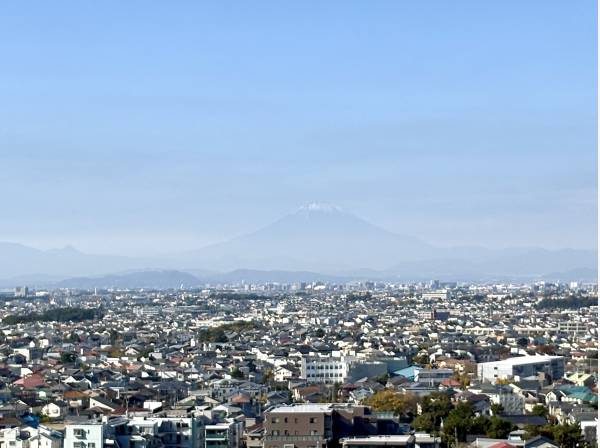 富士山を眺めます。