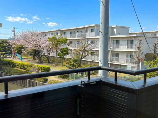 家の前には公園が有りますよ！