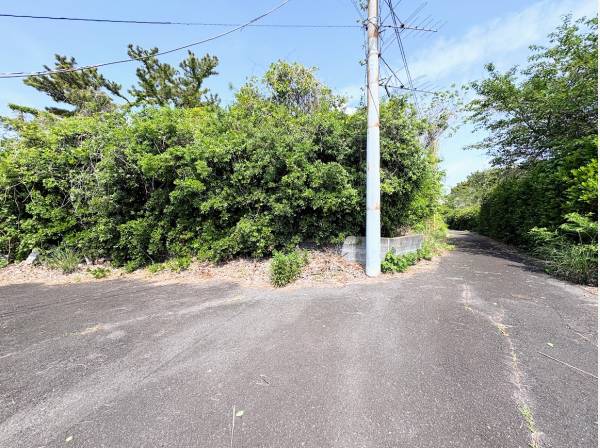 約5375坪の広大な敷地面積