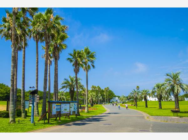 辻堂海浜公園まで徒歩3分（約200ｍ）
