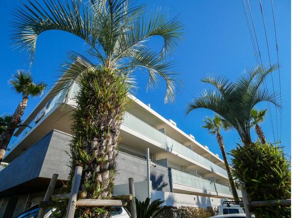 敷地内にはリゾート感のある植栽がそよそよと揺らめいています