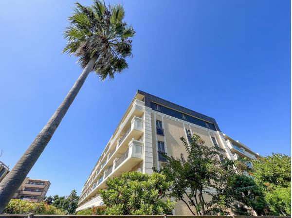 潮風でたなびくヤシの木も湘南らしい♪