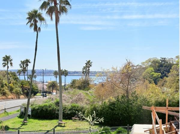 現地からの眺望