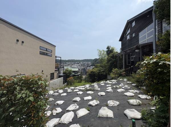 約50坪　スカイバルコニーを設けると見晴らしもよさそうですね！