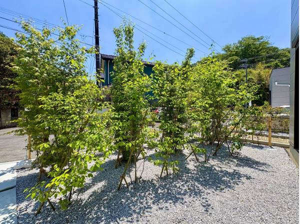 接道に面したお庭には目隠し用の植栽が並んでいます