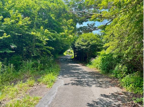 現地入り口/この緑のトンネルを抜けるとたどり着きます