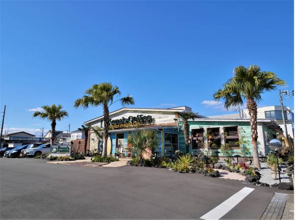 コナズ珈琲茅ヶ崎店まで徒歩10分（約800m）