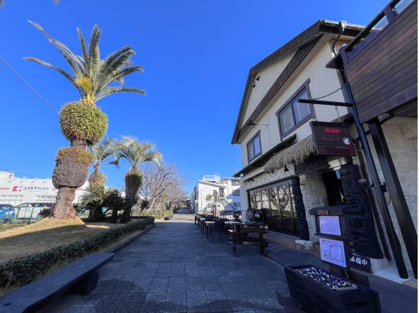 七里ガ浜桜のプロムナードまで約400m・徒歩約5分！