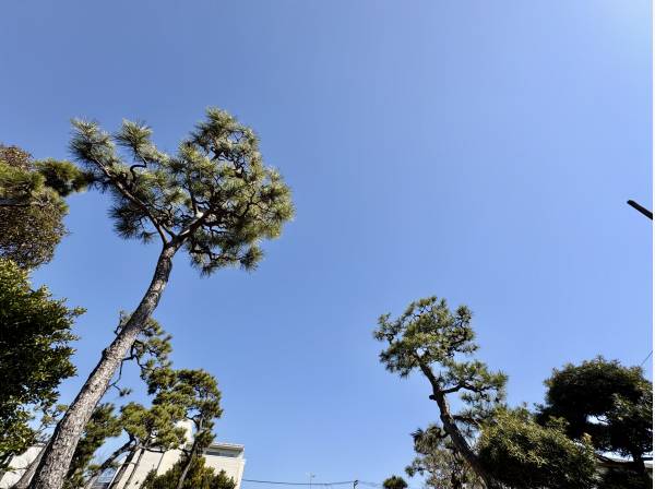 湘南エリアの中でも根強い人気を誇るブランド、藤沢市鵠沼松が岡に
