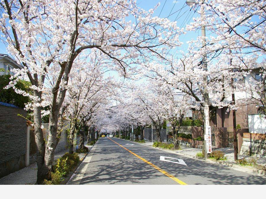 神奈川県逗子市久木8丁目 中古戸建 ザ 湘南物件タイムズ 湘南移住物件ニュースサイト 神奈川県逗子市久木8丁目 中古戸建 ザ 湘南物件タイムズ 湘南移住物件ニュースサイト