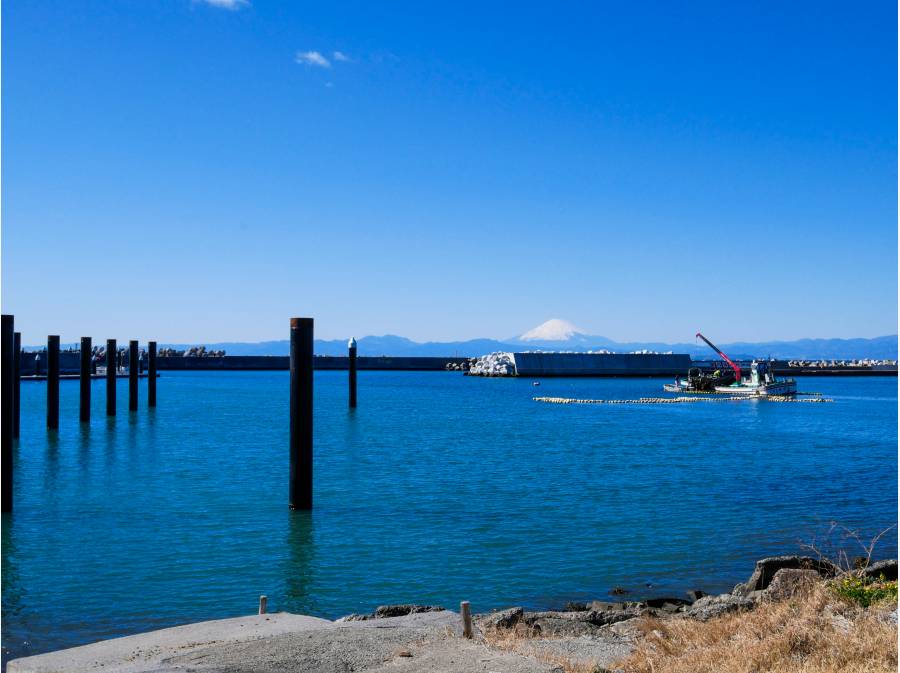 神奈川県横須賀市芦名１丁目 土地 1億2 000万円 湘南の海が見える家 湘南の一戸建て 不動産情報 東宝ハウス湘南